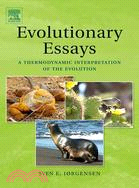 Evolutionary Essays: A Thermodynamic Interpretation of the Evolution