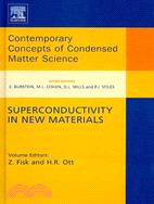 Superconductivity in New Materials