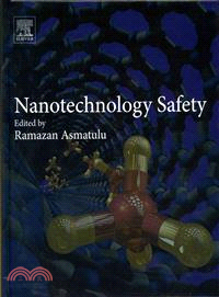 Nanotechnology Safety