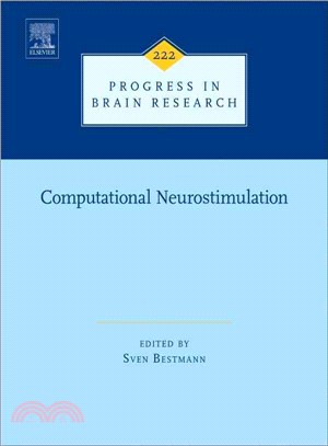 Computational Neurostimulation