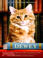 Dewey :a small-town library ...