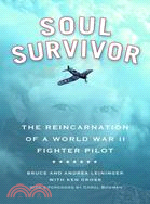 Soul Survivor: The Reincarnation of a World War II Fighter Pilot