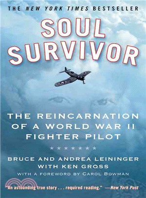 Soul Survivor ─ The Reincarnation of a World War II Fighter Pilot