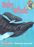 Baby Whale