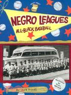 Negro Leagues ─ All-Black Baseball