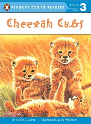 Cheetah Cubs