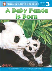 A baby panda is born /