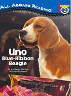 Uno: Blue-Ribbon Beagle