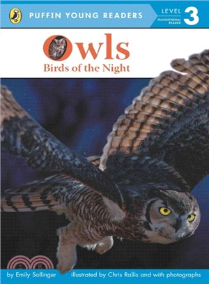 Owls  : birds of the Night