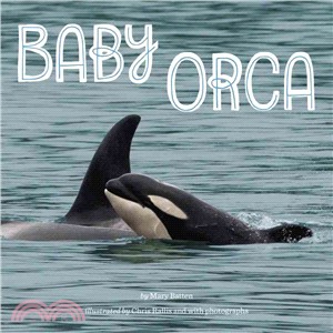 Baby orca /