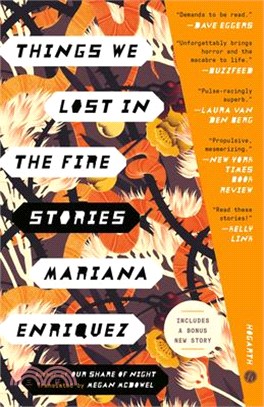 Things We Lost in the Fire: Stories