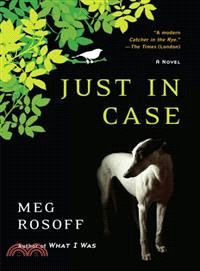 Just in case :A novel /
