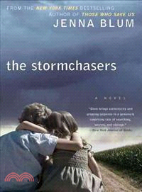 The Stormchasers ─ A Novel