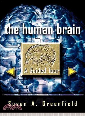 The Human Brain ─ A Guided Tour