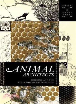 Animal Architects: Building and the Evolution of Intelligence