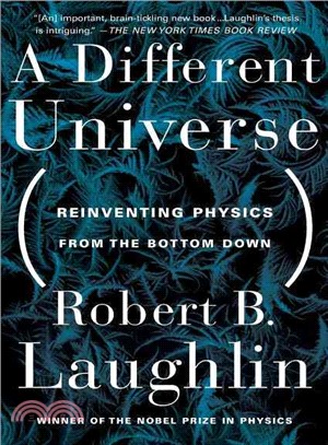 A Different Universe ─ Reinventing Physics from the Bottom Down