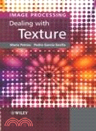 IMAGE PROCESSING: DEALING WITH TEXTURE