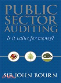 PUBLIC SECTOR AUDITING