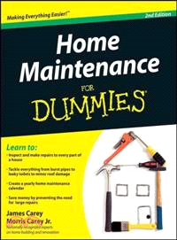 HOME MAINTENANCE FOR DUMMIES, SECOND EDITION
