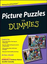 PICTURE PUZZLES FOR DUMMIES