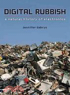 Digital Rubbish ─ A Natural History of Electronics