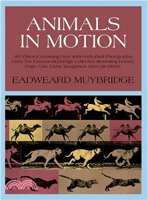 Animals in Motion