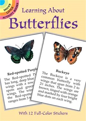 Learning About Butterflies