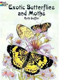 Exotic Butterflies and Moths