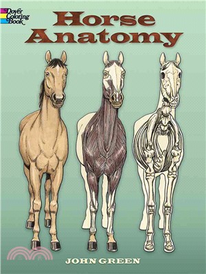 Horse Anatomy