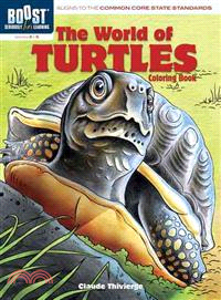 Boost the World of Turtles Coloring Book