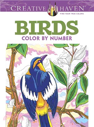 Birds Color by Number Coloring Book