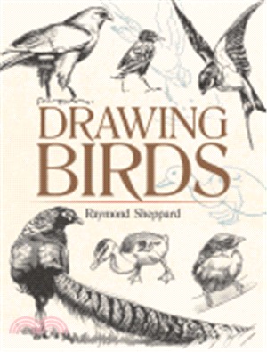 Drawing Birds