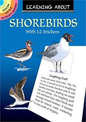 Learning about Shorebirds