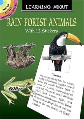 Learning about Rain Forest Animals