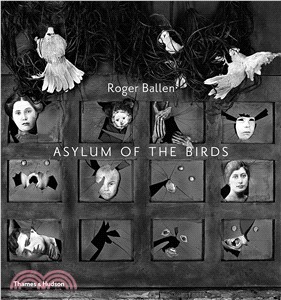 Asylum of the Birds