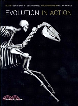 Evolution in Action: Natural History through Spectacular Skeletons