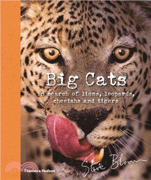 Big Cats ─ In Search of Lions, Leopards, Cheetahs, and Tigers