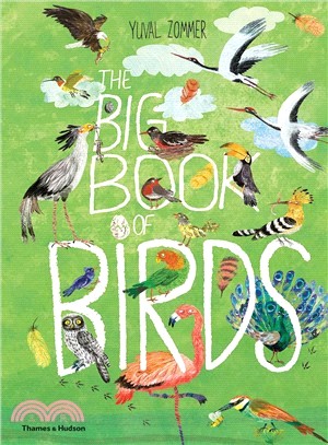 The big book of birds /