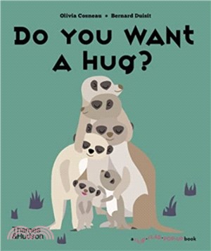 Do You Want a Hug? (A Flip Flap Pop Up Book)