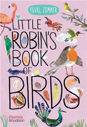 Little Robin's Book of Birds