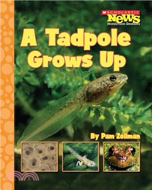 A tadpole grows up