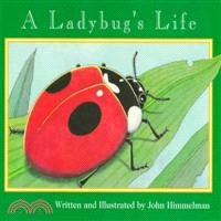 A ladybug's life /