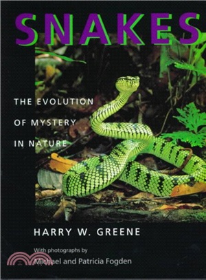 Snakes ― The Evolution of Mystery in Nature