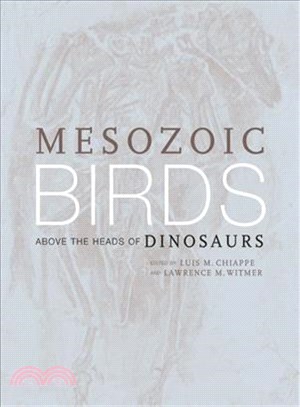 Mesozoic Birds — Above the Heads of Dinosaurs