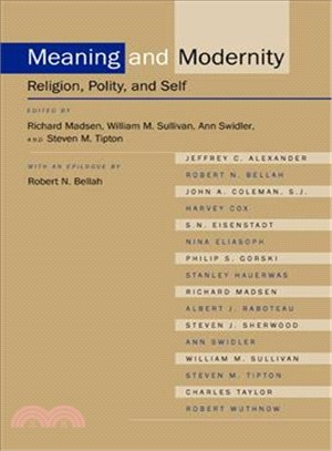 Meaning and modernity :relig...