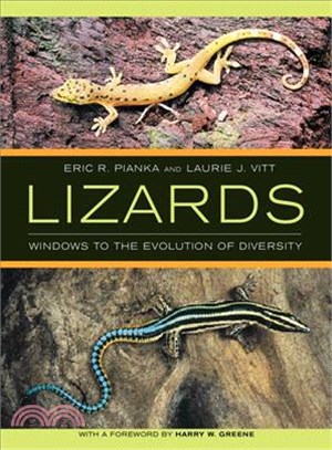 Lizards — Windows to the Evolution of Diversity