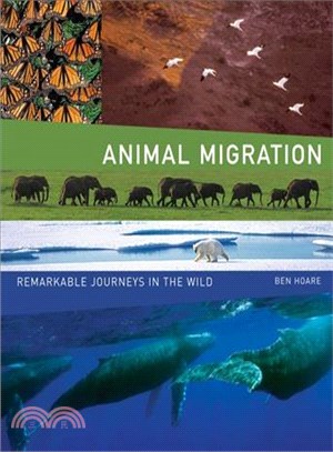 Animal Migration