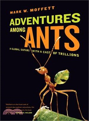 Adventures Among Ants