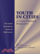 Youth in Cities：A Cross-National Perspective