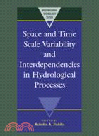 Space and Time Scale Variability and Interdependencies in Hydrological Processes